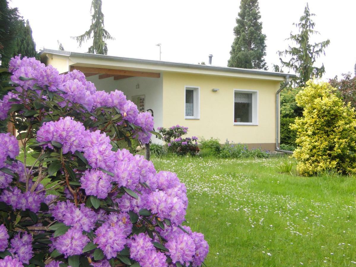 Sommerhaus Im Gruenen Berlin Eksteriør bilde
